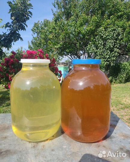 Мёд подсолнечный