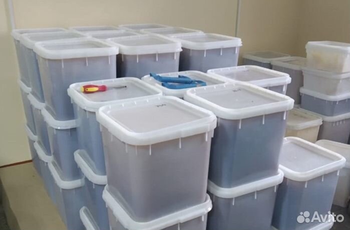 Мёд натуральный алтайский оптом от 16 кг