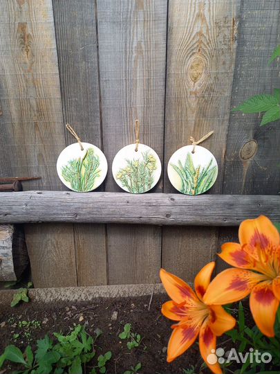 Ботанический барельеф