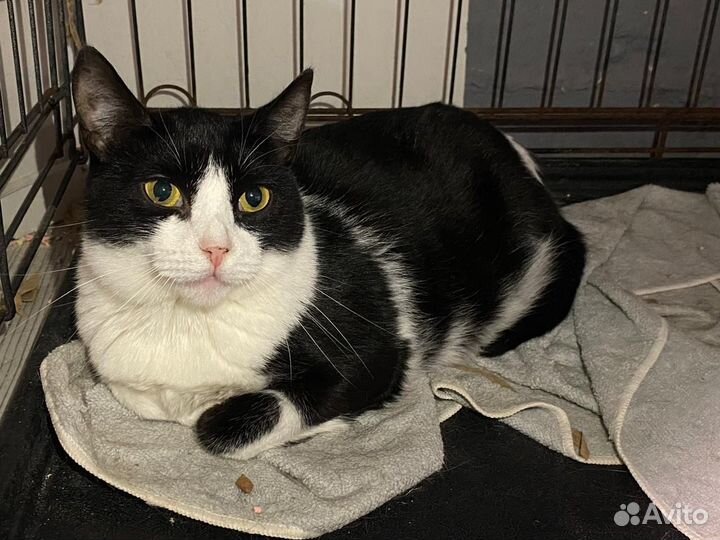 Бетюша мечтает о доме