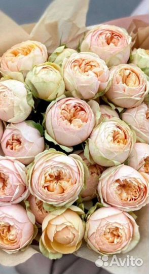 Роза Пионовидная.Букет