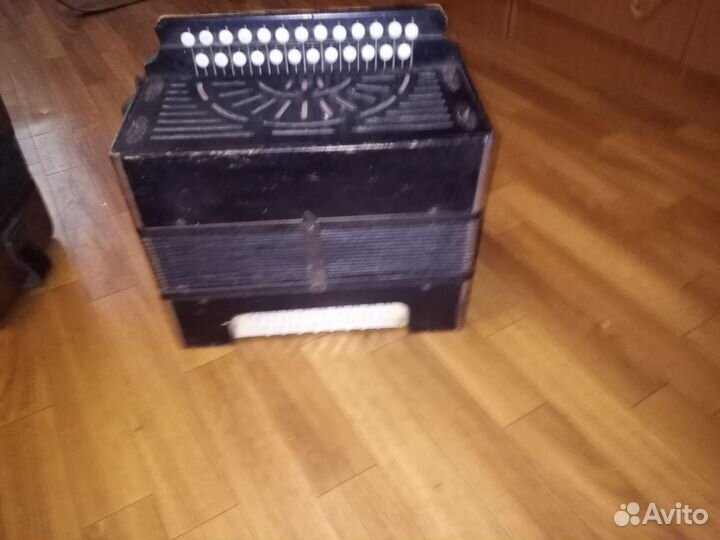 Гармошки соль