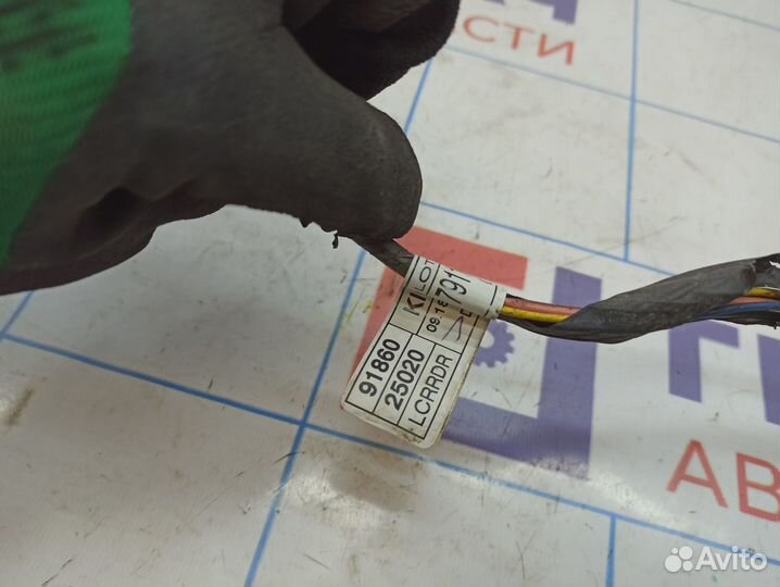 Проводка двери задней левой Hyundai Accent 2 91860