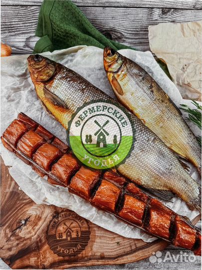 Рыба северная Язь Щука Щекур Мохтик Лещ Сырок