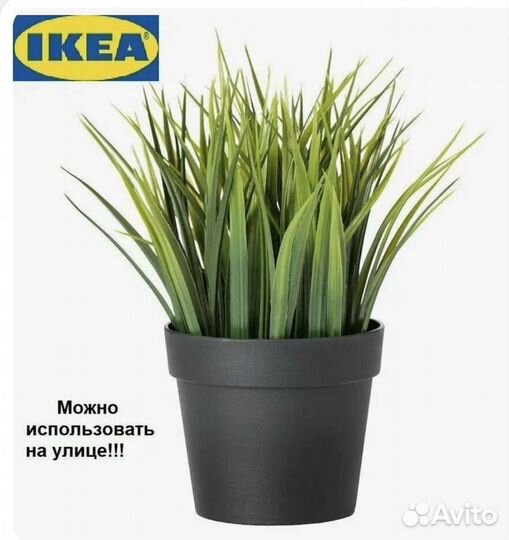 Фейка IKEA искусственное растение Новые