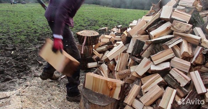 Дрова с Зеленогорска