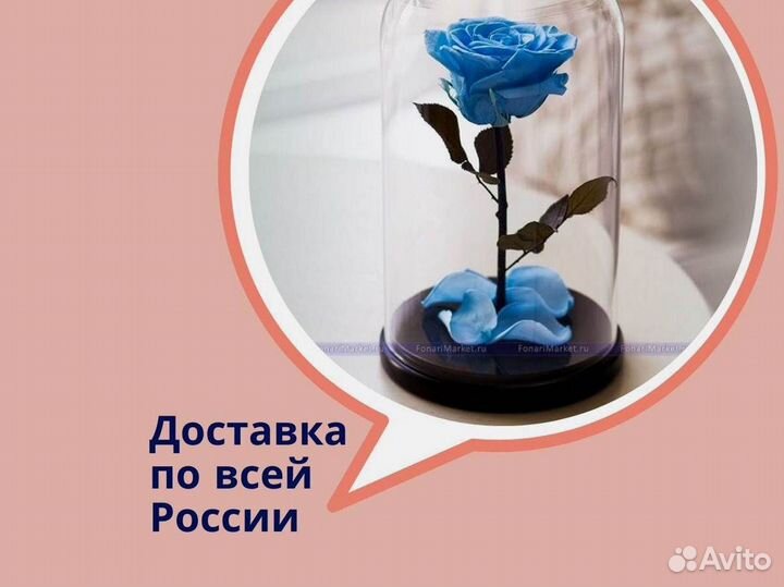 Розы в колбе на выбор