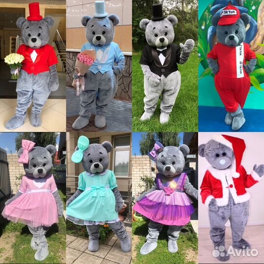 Поздравление от мишки аниматор на праздник