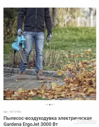 Садовый пылесос