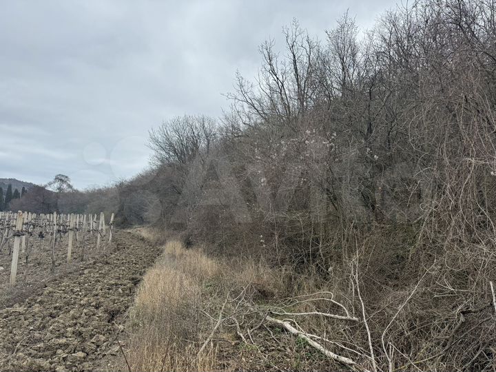 Участок 6 сот. (СНТ, ДНП)