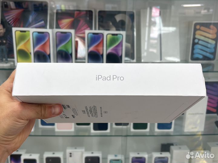 iPad Pro 11 M2 512 + Sim (2022)