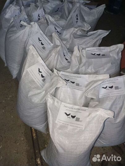 Ракушка кормовая для кур