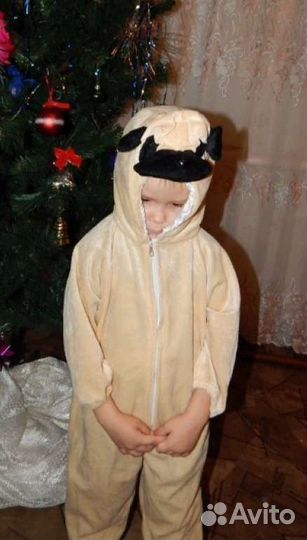 Костюмы породистых собачек