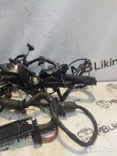 Проводка двигателя om642 Mercedes W221 Rest