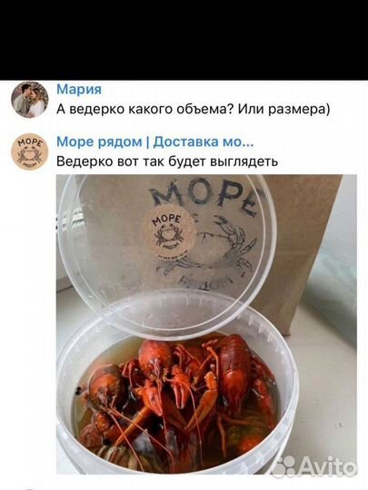 Раки живые и вареные