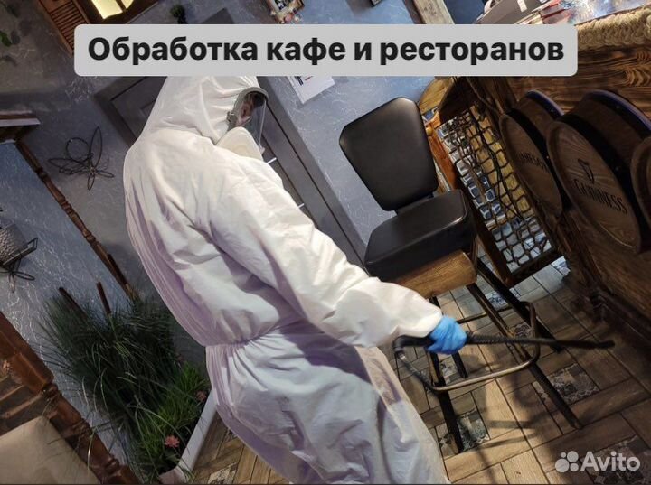 Уничтожение тараканов, травить клопов, дезинфекция