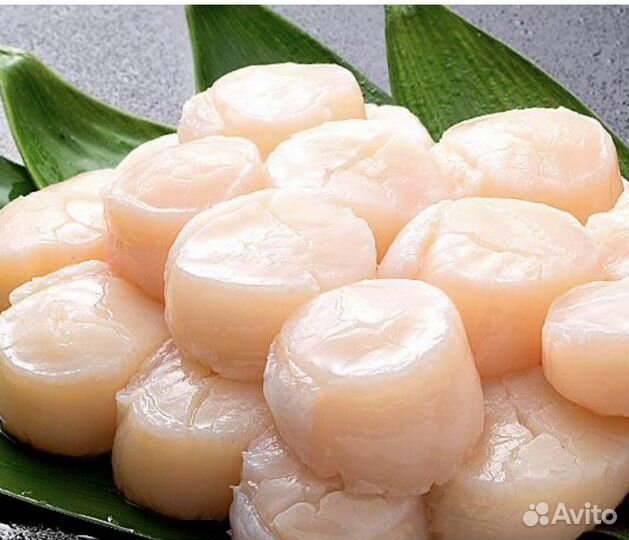 Морской гребешок в наличии