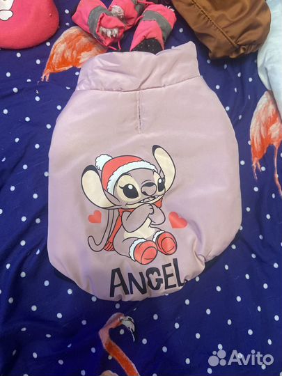 Одежда для маленьких собак