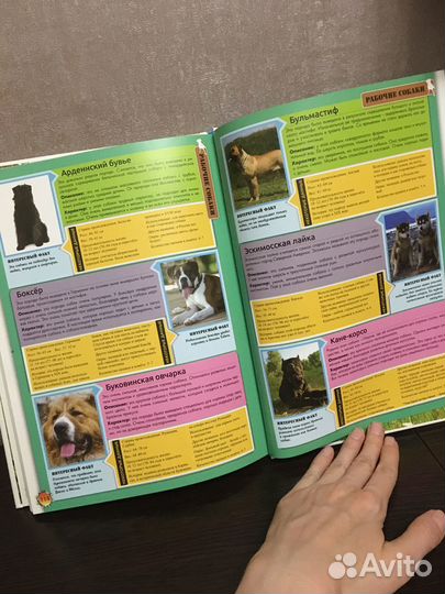 Энциклопедия о собаках