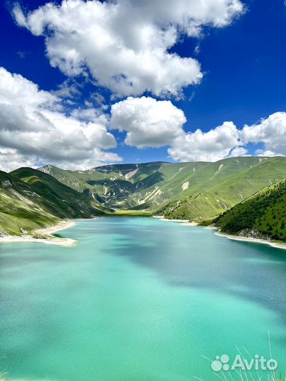 Гид/Экскурсии и туры в Чеченской республике