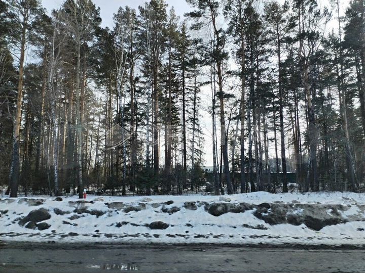 Участок 25,8 сот. (ИЖС)