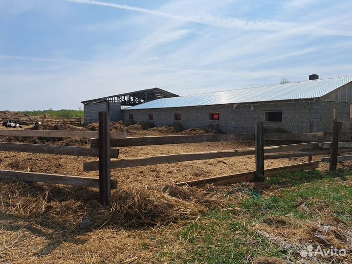 Участок 100га, Ферма, Жилье, Дом