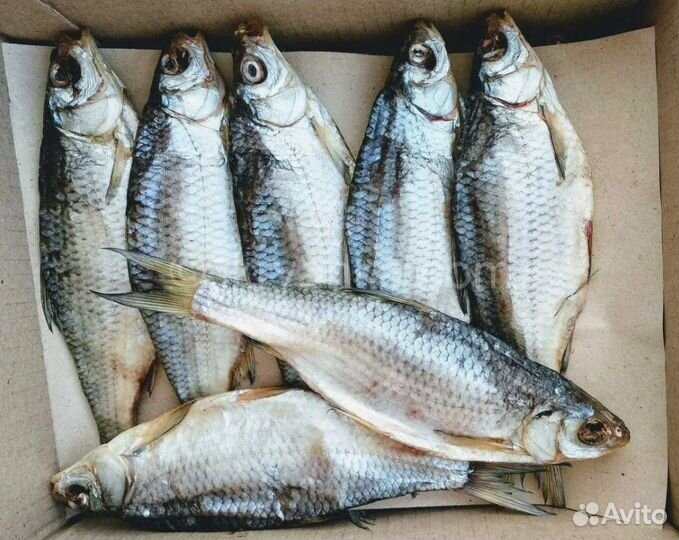 Вобла Астраханская