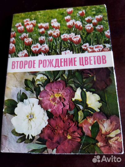 Наборы открыток