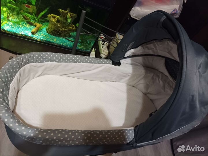 Коляска 2 в 1 teutonia