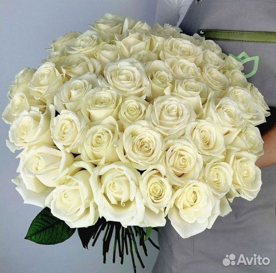 Высокие Розы Гиганты Доставка Круглосуточно