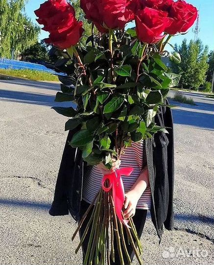 Высокие розы Гигантские розы Доставка цветов