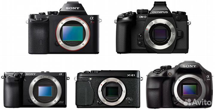 Беззеркальные фотоаппараты Sony, Olympus и другие
