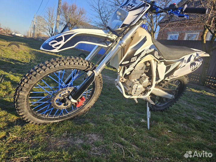 Avantis 250 fx basic