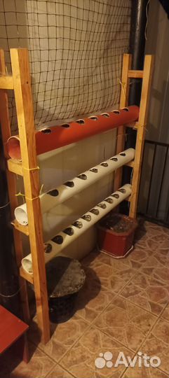 Рассадника для огурцов и помидор