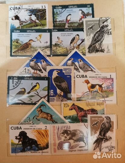 Почтовые марки СССР и иностранные Животные