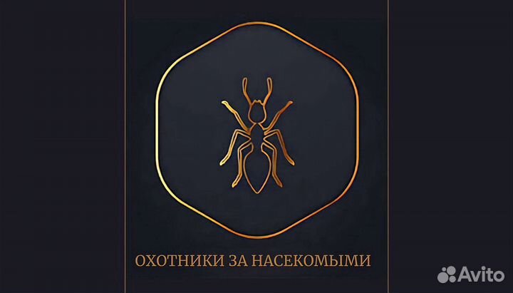 Дезинфекция