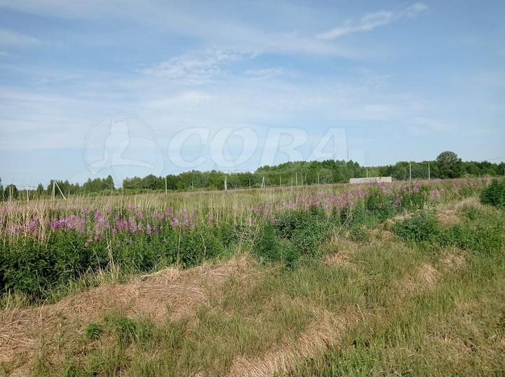 Участок 18,8 сот. (ИЖС)