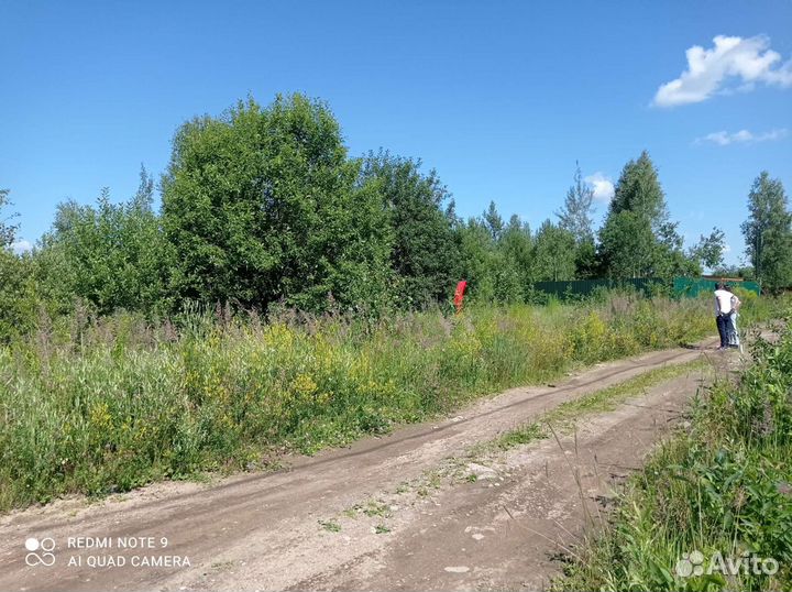 Расчистка участков