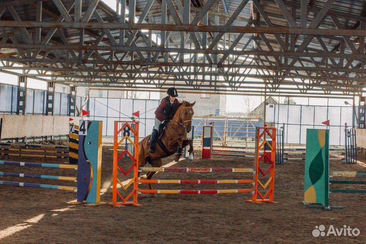 Конные прогулки