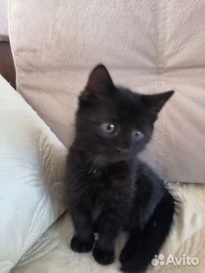 Мальчик хочет домой