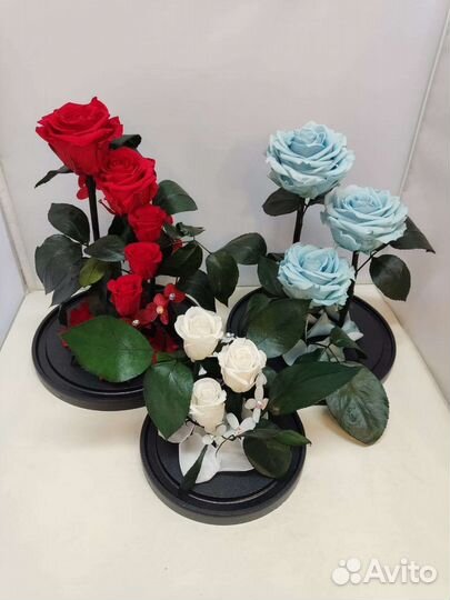 Подарок на новый год / Цветы