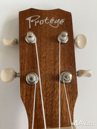 Укулеле концерт cordoba protege U1
