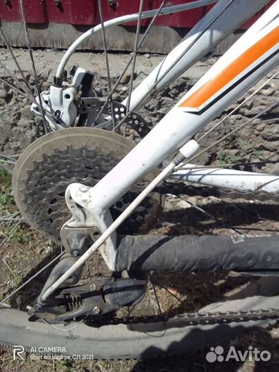 Mongoose tyax expert