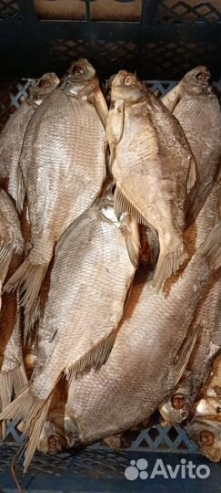 Вяленая рыба