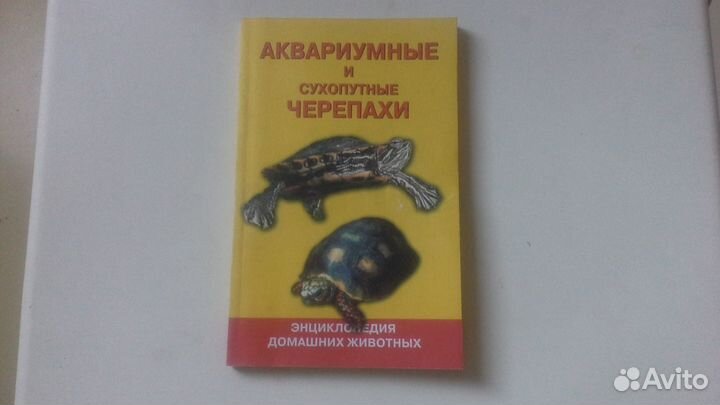 Путь черепахи книга. Книги о черепахах. Аквариумные черепахи книга. Три черепахи книга. Золотые Черепашки книга.