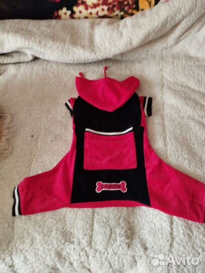 Комбинезон для пёсика велюровый