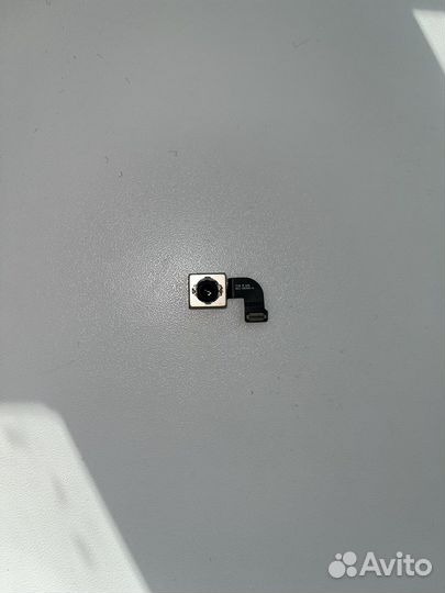 Камера на iPhone 7