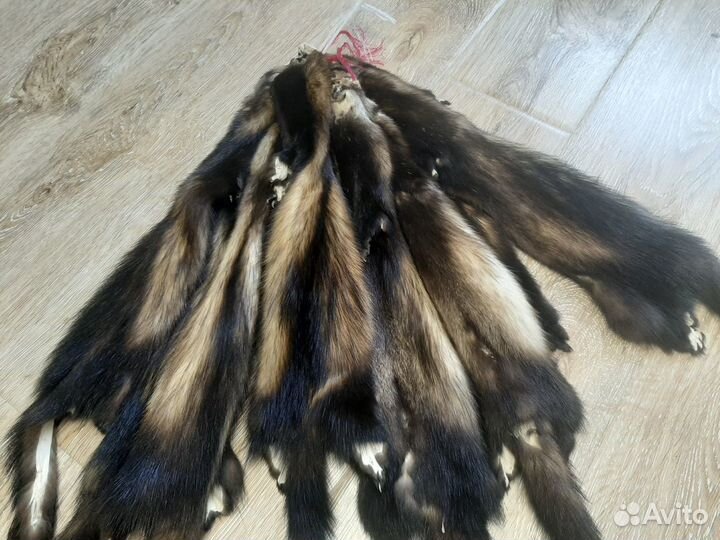 Шкурки мех хорь,норка,ондатра