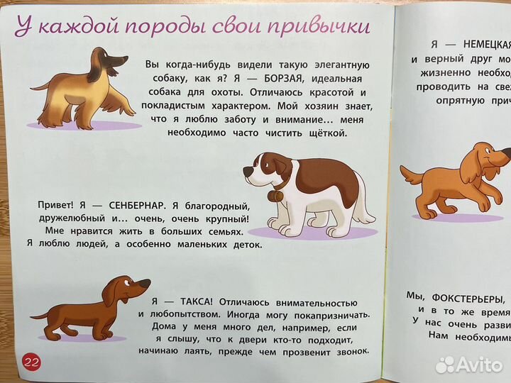 Журнал - 31. Приключения на ферме. Диагостини