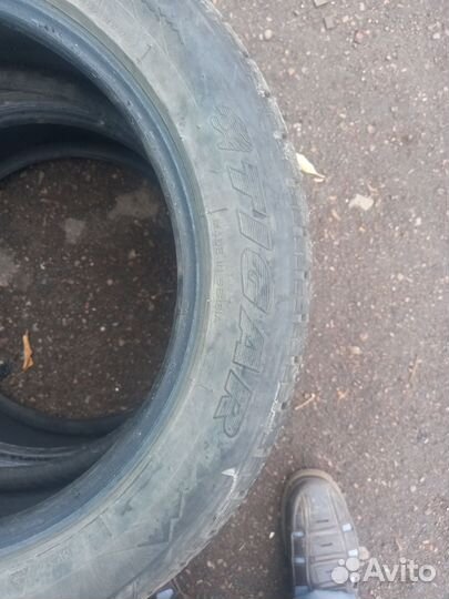 Tigar Sigura Stud 205/55 R16